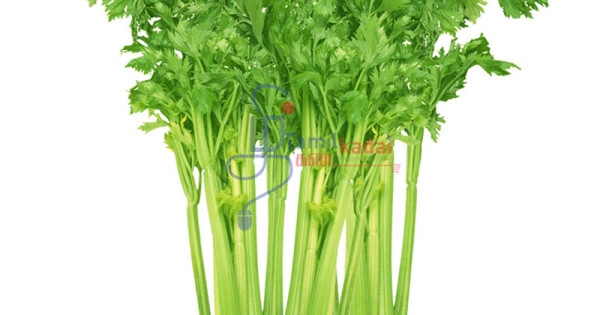 Celery leaves clearance in tamil